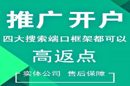 专业SEM账户托管成功案例分享